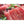 Load image into Gallery viewer, USDA Prime Filet Mignon Package USDA Prime Dry Aged Beef Anderson Reserve
